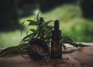 hemp cbd oil