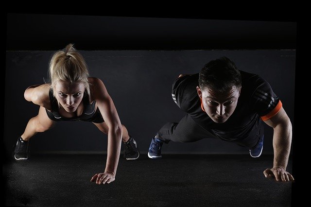 training muscle muscles
