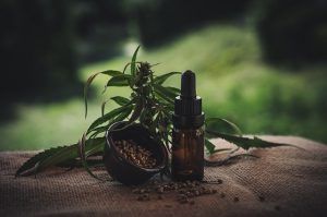 CBD oil